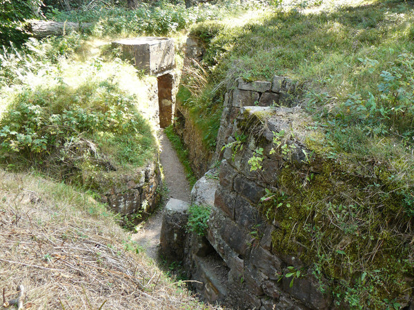 Collet du Linge (68)