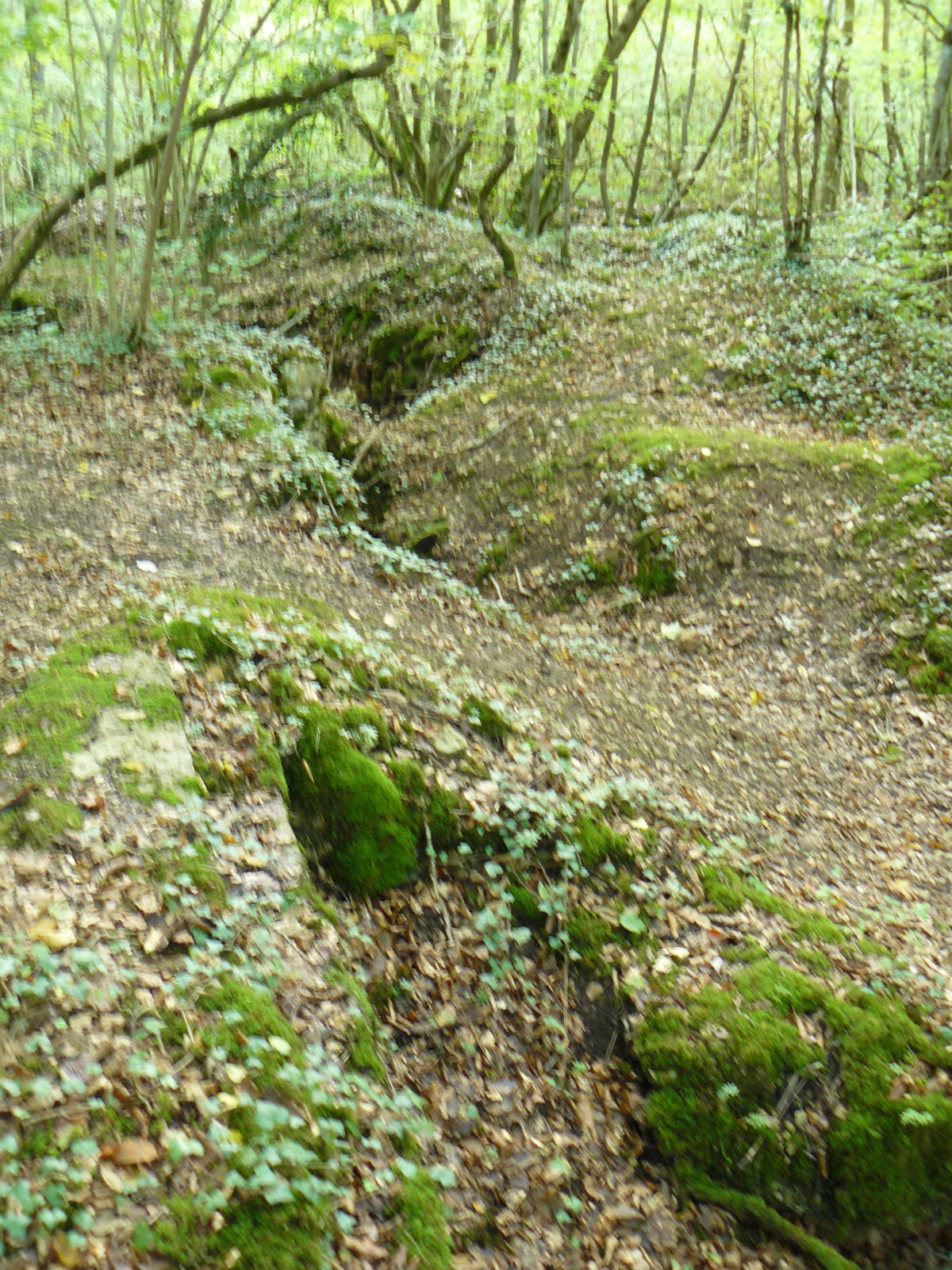 LE SAILLANT DE ST MIHIEL